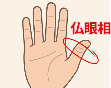 仏眼相の基本と「みんなある」の真実