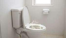 用を足すことに成功した場合